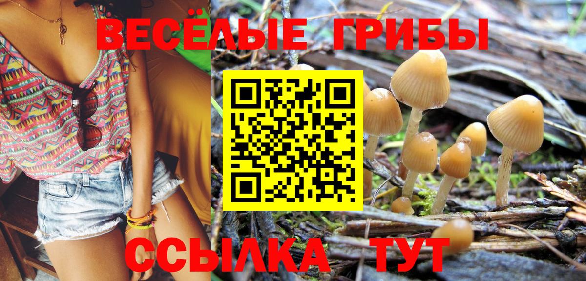 Галлюциногенные грибы мухоморы Ростов Великий