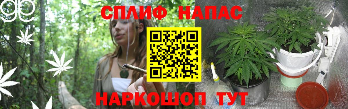 Каннабис ГИДРОПОН  Шишки марихуана ГИДРОПОН  Каннабис AK-47  Вход с VPN  Ростов Великий 